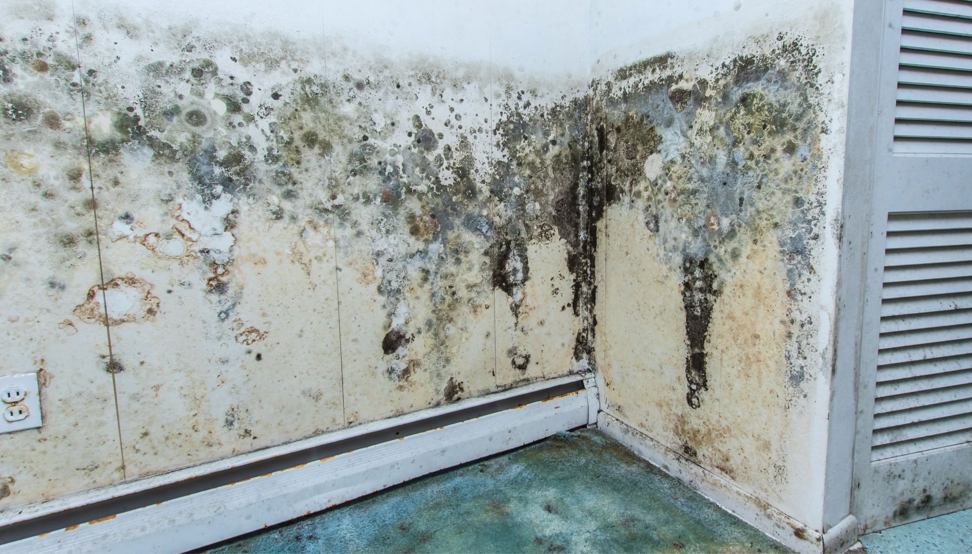 Professional mold removal, odor control, and water damage restoration service in Kirby, Indiana.