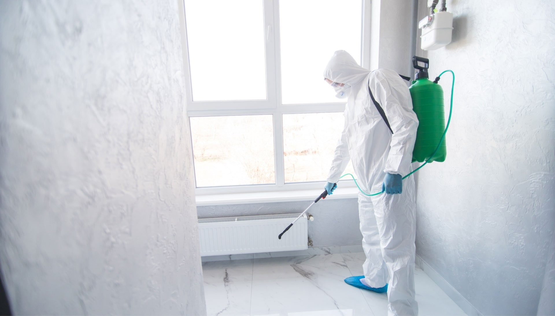 We provide the highest-quality mold inspection, testing, and removal services in the Kirby, Indiana area.